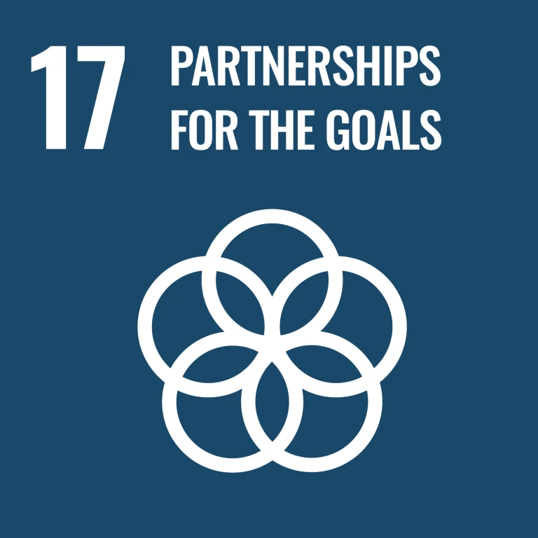 Icon SDG17 - Partnerships for the Goals